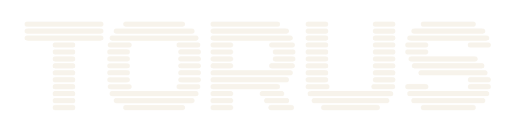 Torus Logo